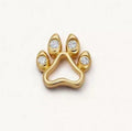 Paw Charm